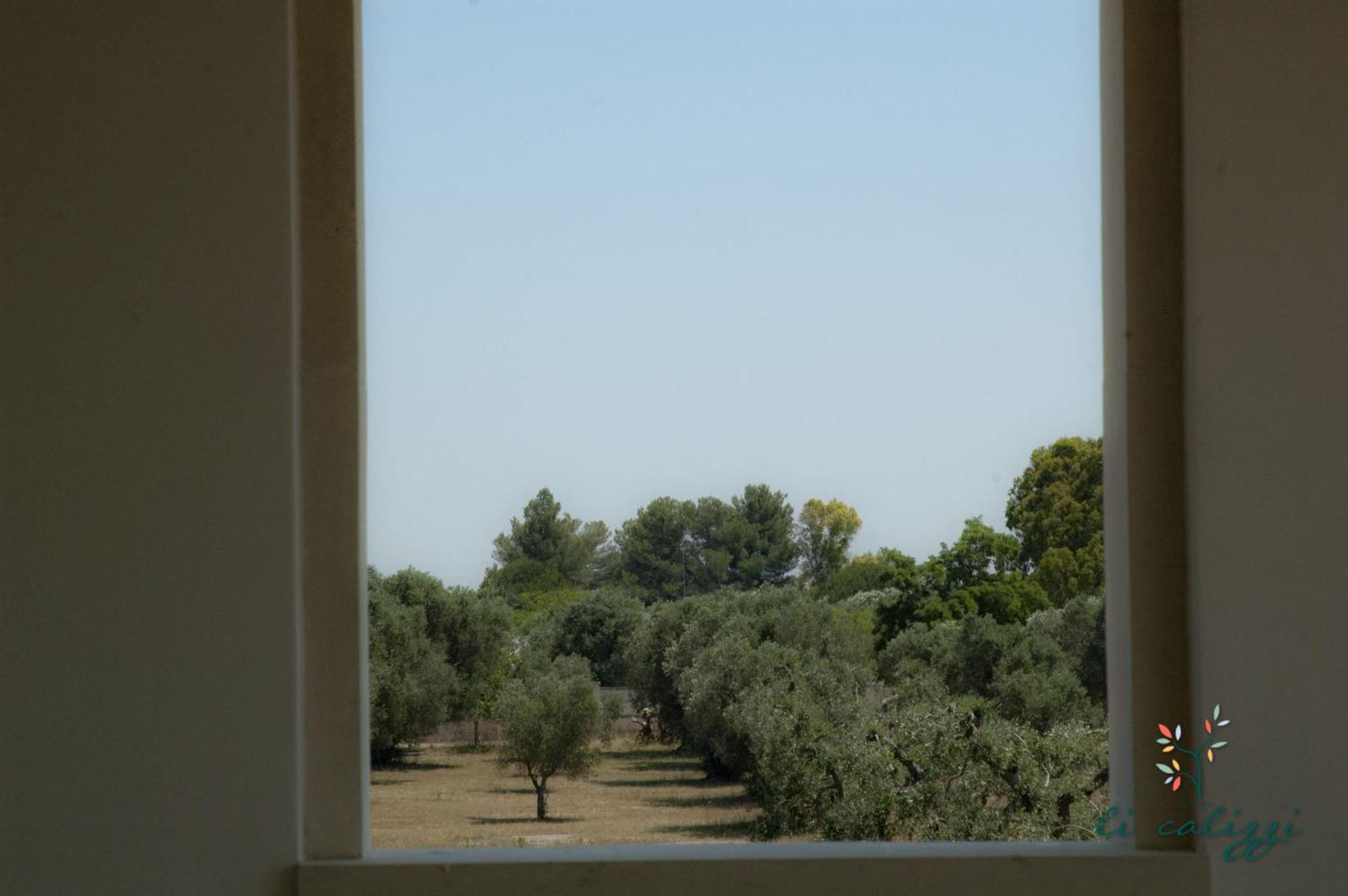 Agriturismo Li Calizzi Arte E Natura Novoli Bilik gambar