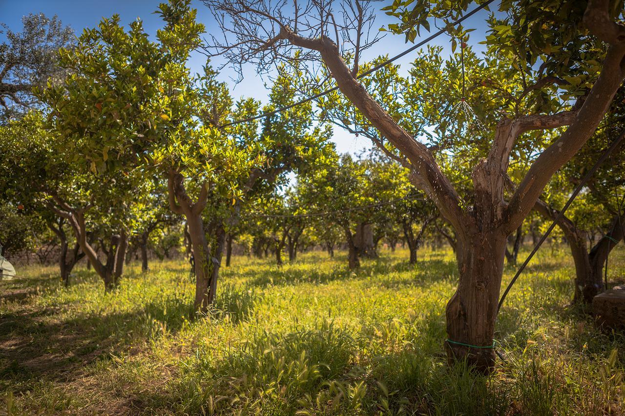 Agriturismo Li Calizzi Arte E Natura Novoli Luaran gambar
